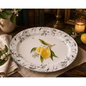 Williams Sonoma Meyer Lemon 17.25" Oval Serving Platter Porcelain Discontinued